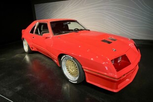 Petersen Museum’s ‘Totally Awesome!’ Exhibit Features A Rare Fox